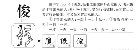 俊字五行|俊